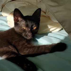 Meet your Posher, Josephine